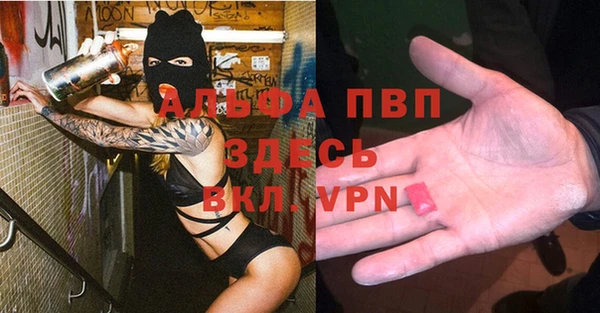 сатива Покачи