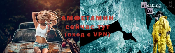сатива Покачи