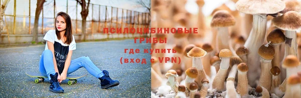 Альфа ПВП Покровск