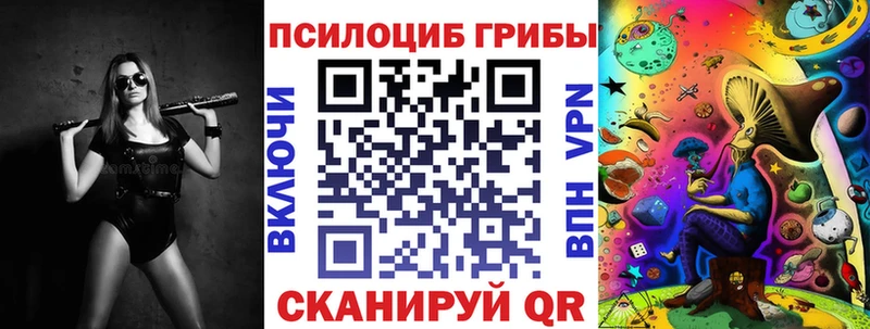 Купить где  Талдом  Псилоцибиновые грибы мухоморы 